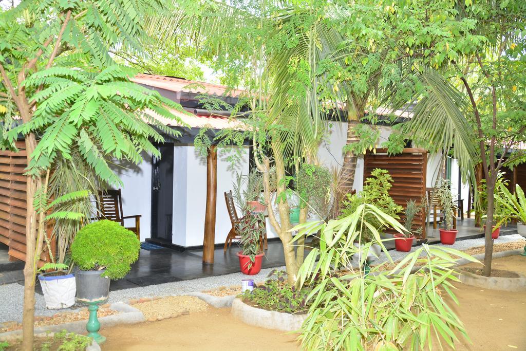 Livinginn Polonnaruwa Eksteriør bilde
